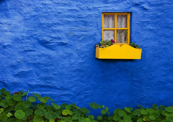 Yellow+box-1051377411-O